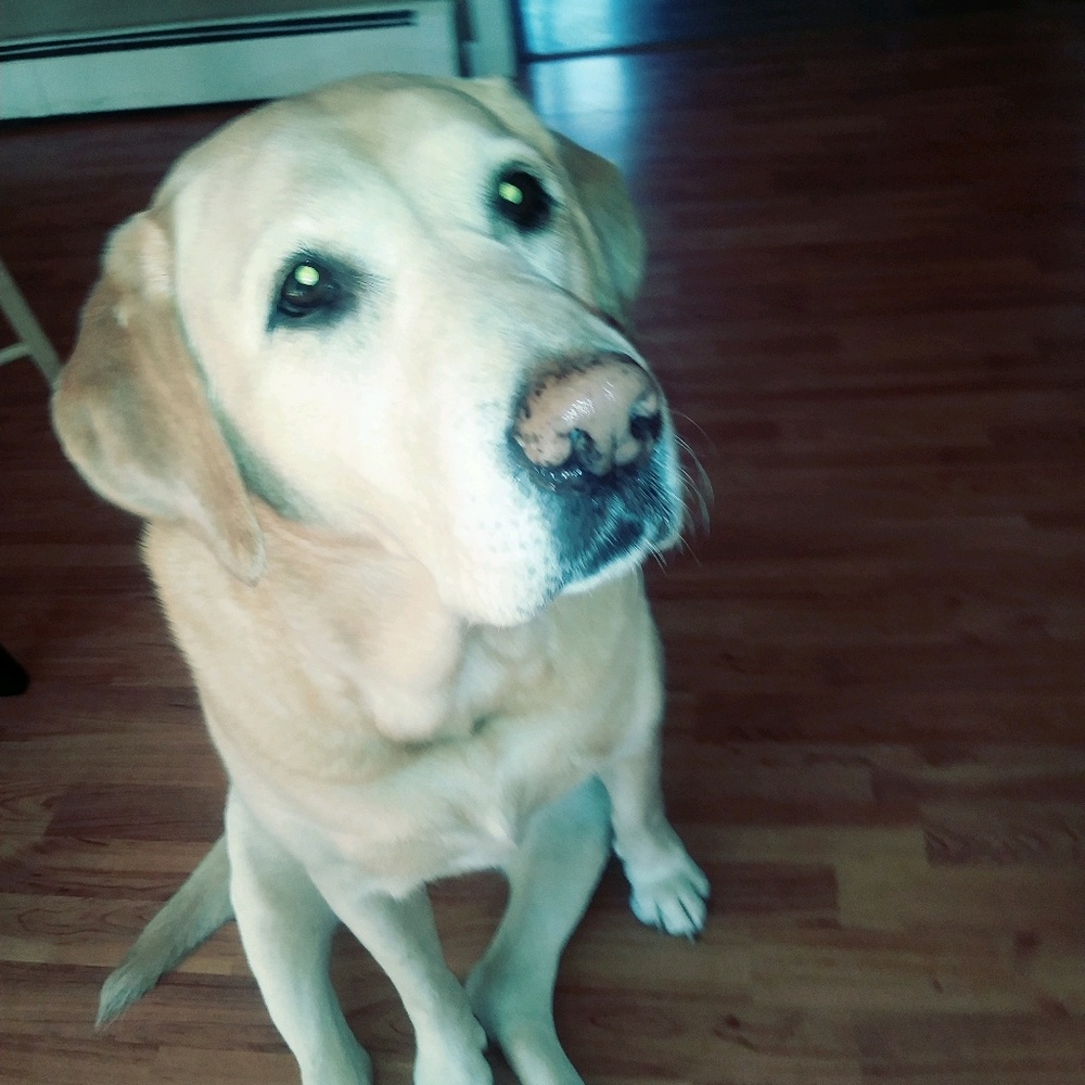 Meet your Posher, Beth